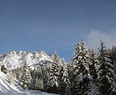 Verschneiter Wald in Söll